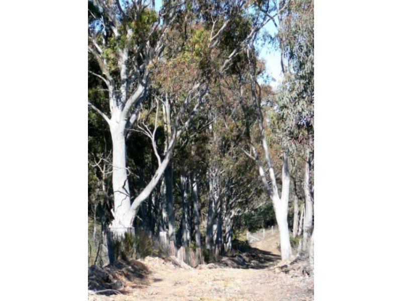 386 Gowan Road, Bathurst NSW 2795