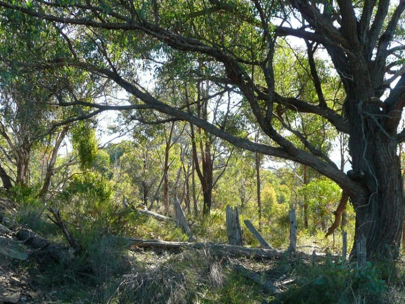 386 Gowan Road, Bathurst NSW 2795