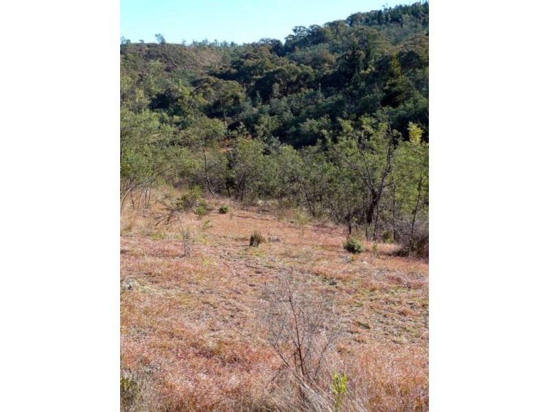 386 Gowan Road, Bathurst NSW 2795