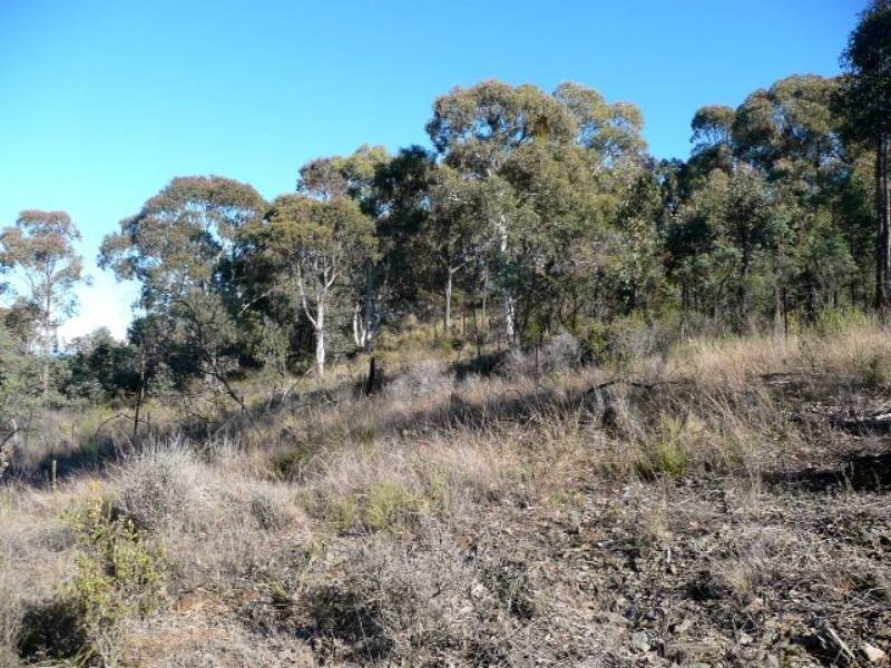 386 Gowan Road, Bathurst NSW 2795