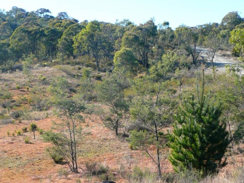 386 Gowan Road, Bathurst NSW 2795