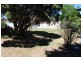 8 Abercrombie Drive, Bathurst NSW 2795