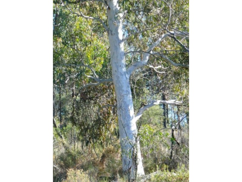 386 Gowan Road, Bathurst NSW 2795