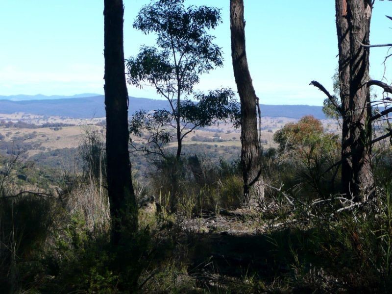 386 Gowan Road, Bathurst NSW 2795