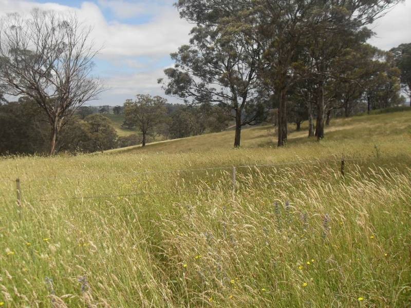 60 Hopes Road, Bathurst NSW 2795