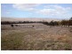 1118 Ophir Road, Bathurst NSW 2795