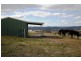 1118 Ophir Road, Bathurst NSW 2795
