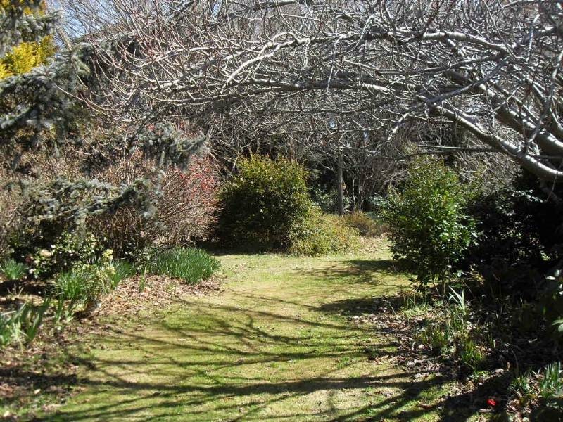 22 Macquarie Street, Bathurst NSW 2795