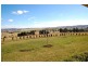 52 Frys Lane, Bathurst NSW 2795