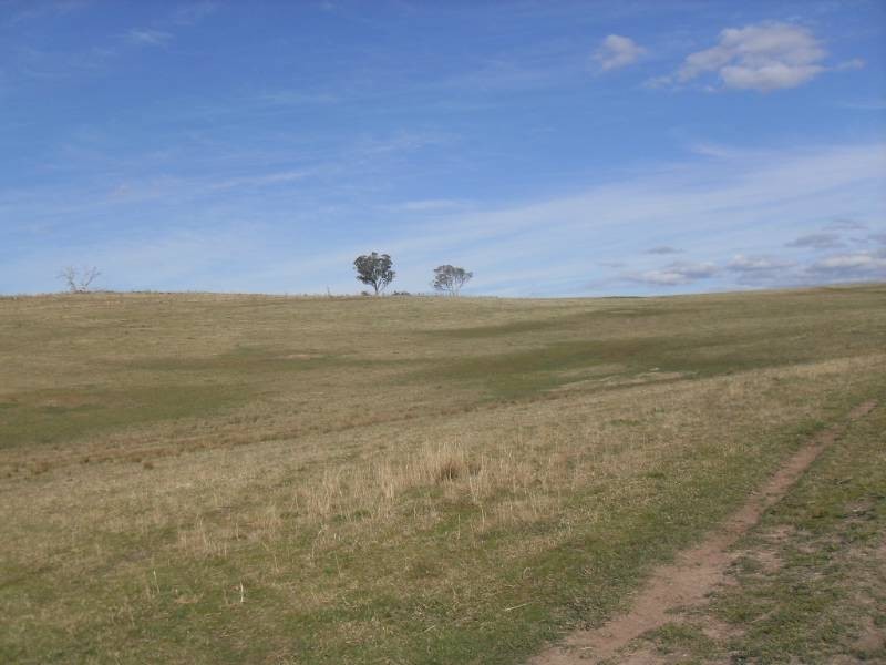 2131 Limekilns Road, Bathurst NSW 2795