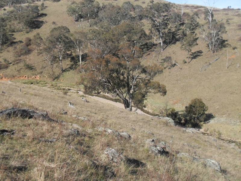 2131 Limekilns Road, Bathurst NSW 2795