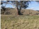 2131 Limekilns Road, Bathurst NSW 2795