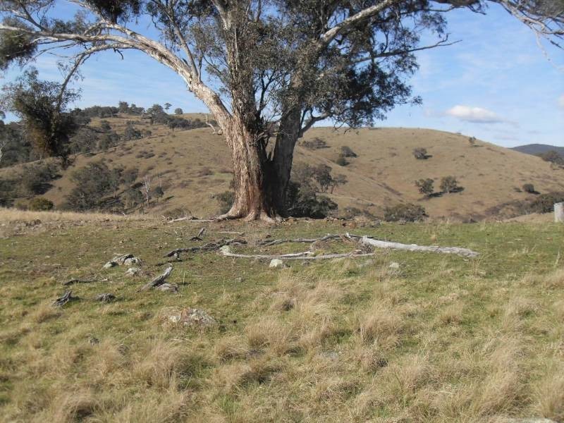 2131 Limekilns Road, Bathurst NSW 2795
