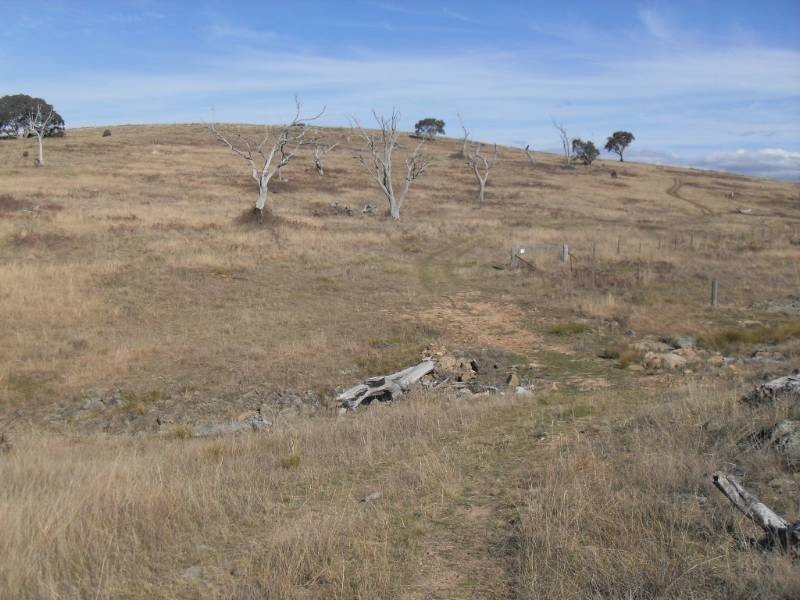 2131 Limekilns Road, Bathurst NSW 2795