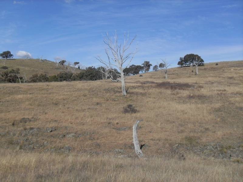 2131 Limekilns Road, Bathurst NSW 2795