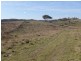 2131 Limekilns Road, Bathurst NSW 2795