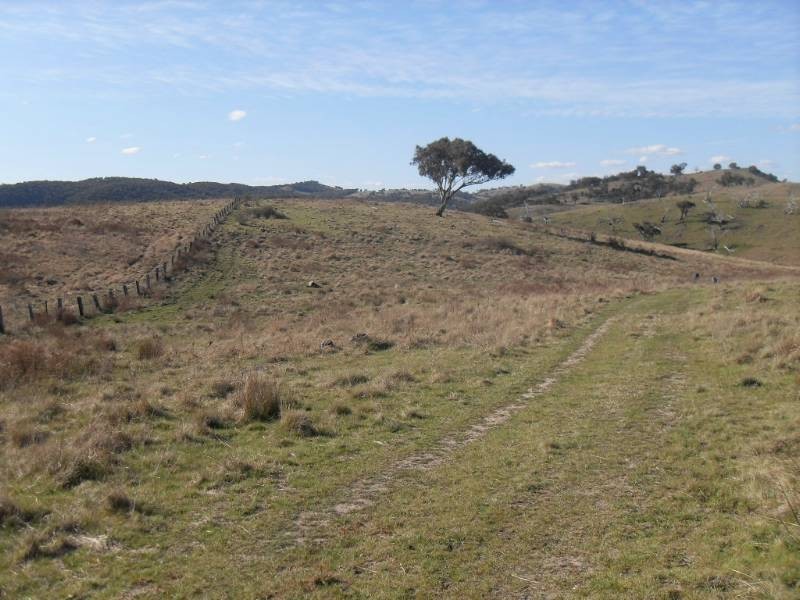 2131 Limekilns Road, Bathurst NSW 2795