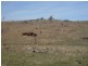 2131 Limekilns Road, Bathurst NSW 2795