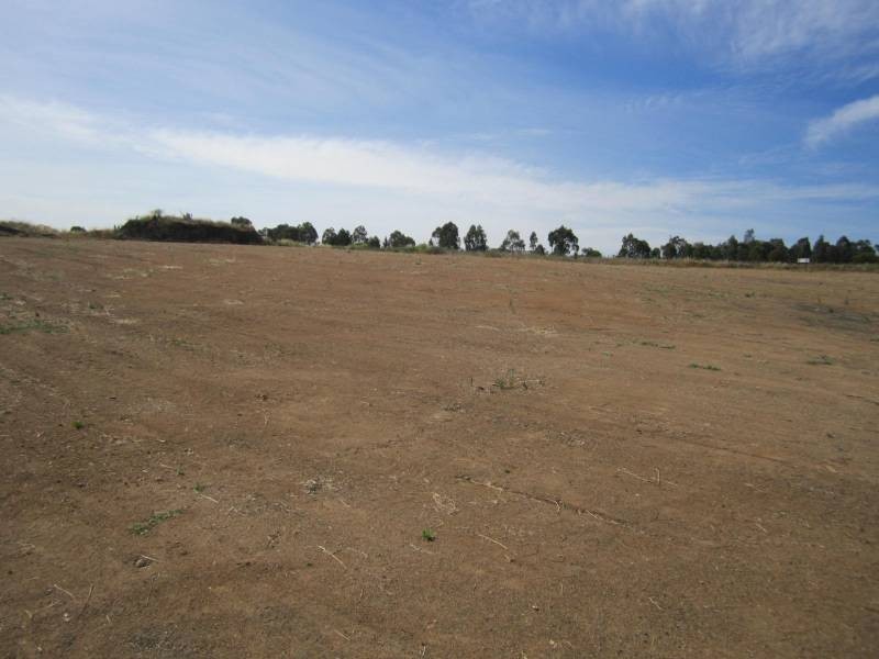 20 bradwardine Road, Bathurst NSW 2795