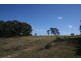 223 Billywillinga Road, Billywillinga NSW 2795