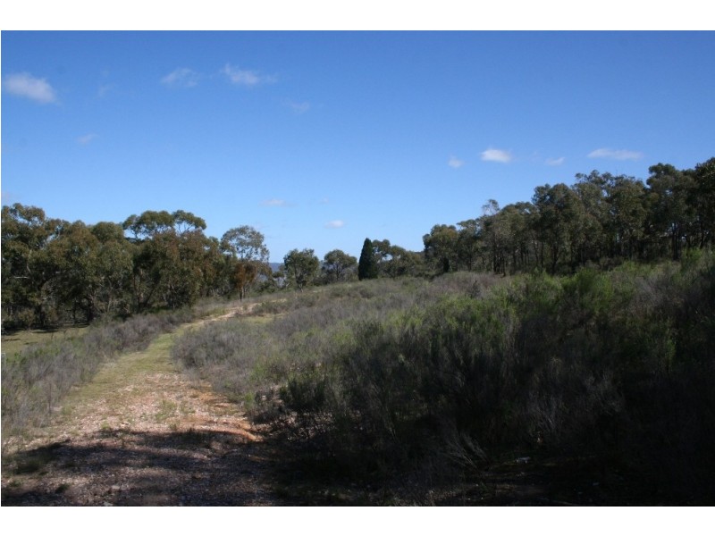 223 Billywillinga Road, Billywillinga NSW 2795