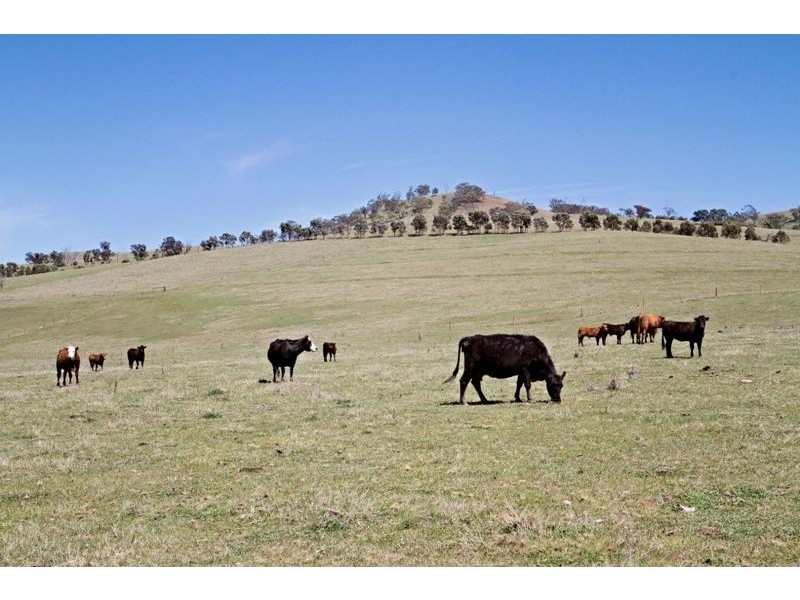 720 Vale Road, Bathurst NSW 2795