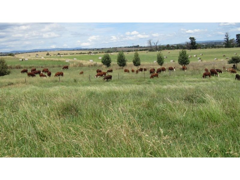 384 Eleven Mile Drive, Bathurst NSW 2795