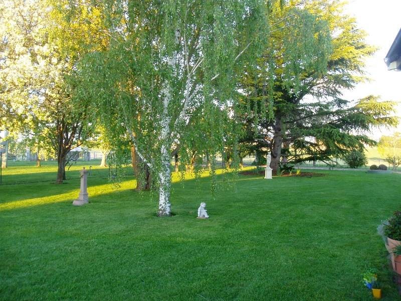 384 Eleven Mile Drive, Bathurst NSW 2795