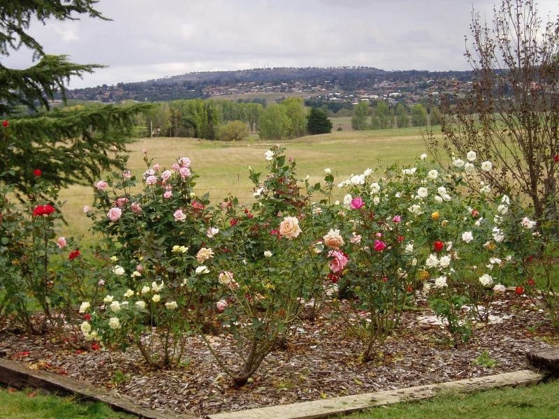 384 Eleven Mile Drive, Bathurst NSW 2795