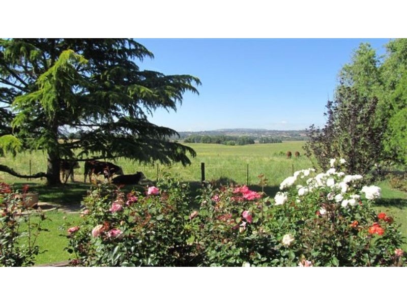 384 Eleven Mile Drive, Bathurst NSW 2795