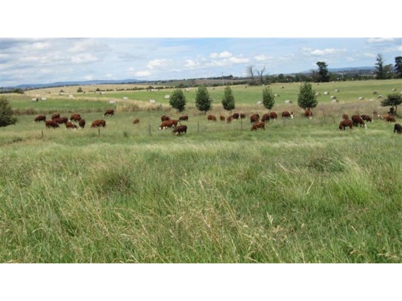 384 Eleven Mile Drive, Bathurst NSW 2795