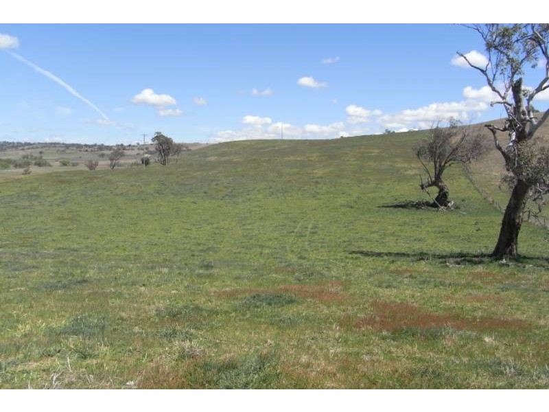 176 St Johns Road, Bathurst NSW 2795