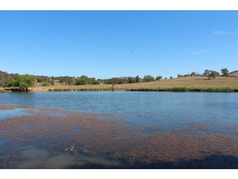 543 Turondale Road, Bathurst NSW 2795