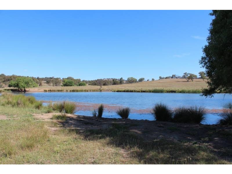 543 Turondale Road, Bathurst NSW 2795