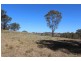 543 Turondale Road, Bathurst NSW 2795