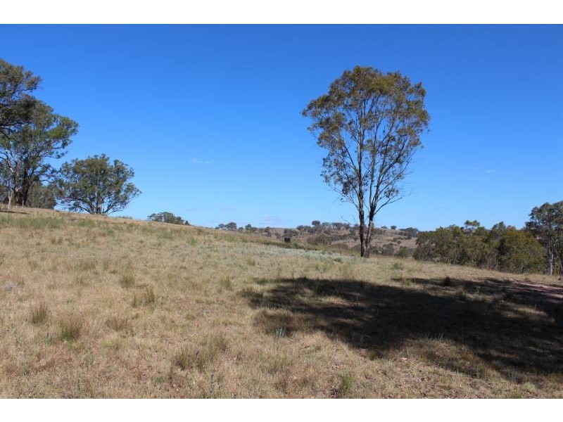 543 Turondale Road, Bathurst NSW 2795