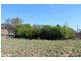 543 Turondale Road, Bathurst NSW 2795