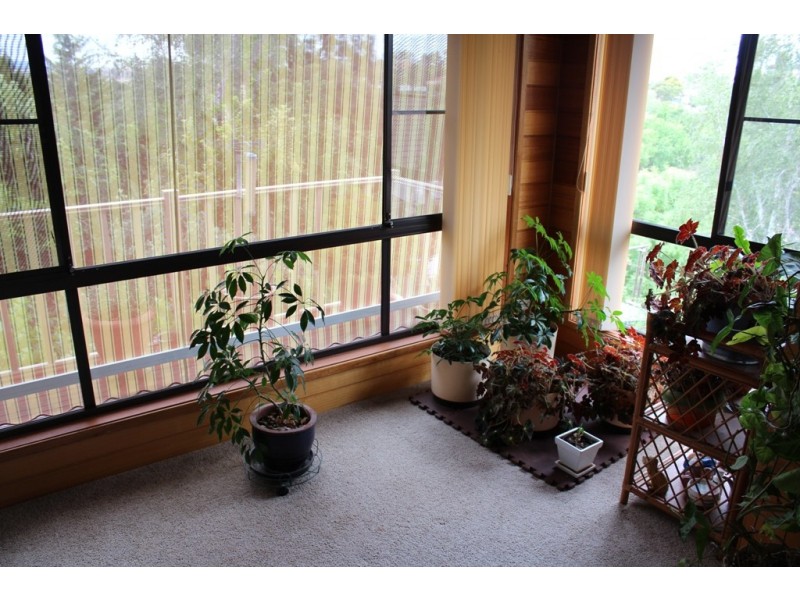 34 College Road, Bathurst NSW 2795