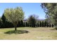 3 Monteve Crescent, Robin Hill NSW 2795