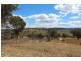 1190 Turondale Road, Bathurst NSW 2795