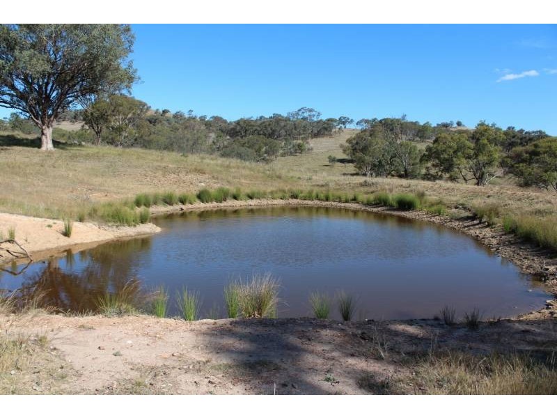 1190 Turondale Road, Bathurst NSW 2795