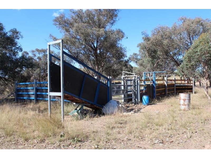 1190 Turondale Road, Bathurst NSW 2795