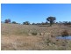 1190 Turondale Road, Bathurst NSW 2795