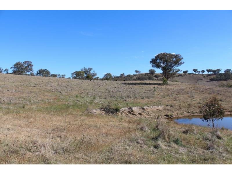 1190 Turondale Road, Bathurst NSW 2795