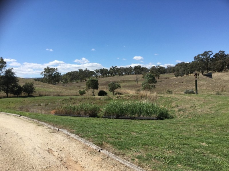 3118 O’Connell Road, O’connell NSW 2795