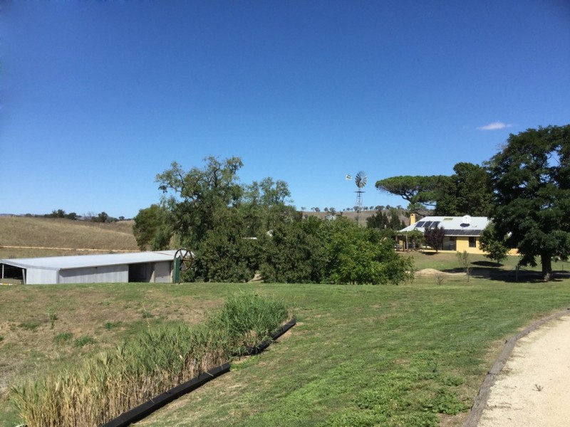 3118 O’Connell Road, O’connell NSW 2795