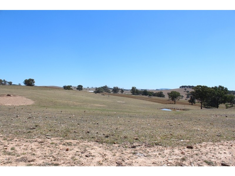 511 Caloolah Road, Bathurst NSW 2795