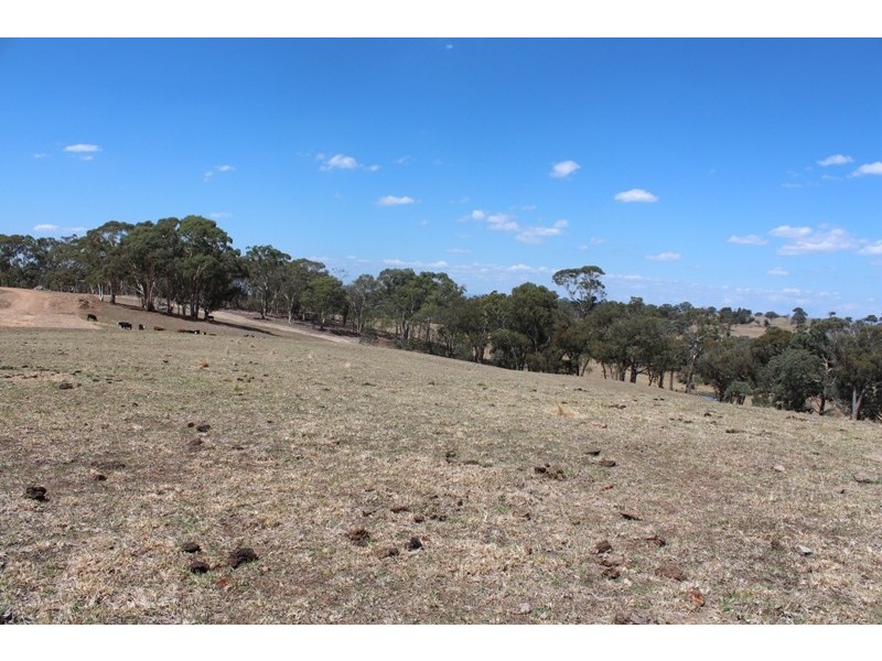 511 Caloolah Road, Bathurst NSW 2795
