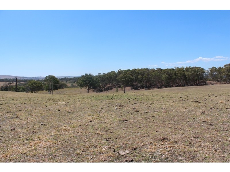 511 Caloolah Road, Bathurst NSW 2795