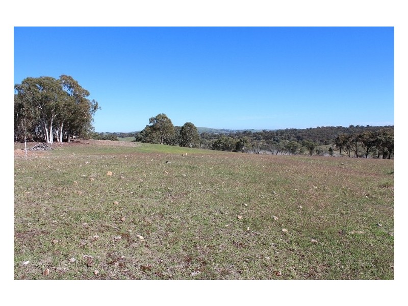 511 Caloolah Road, Bathurst NSW 2795